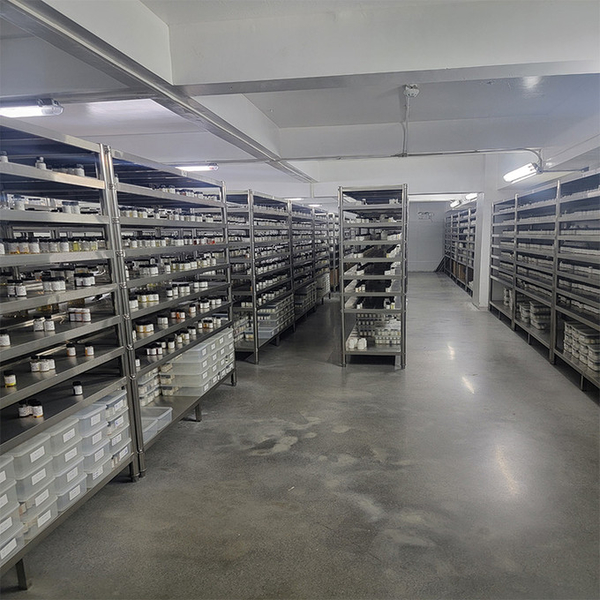 Guangzhou plant fragrance Co., Ltd línea de producción del fabricante