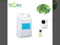 Fragrancias de difusores de eucalipto Francia natural pura Fragancia de aceite de árbol de té