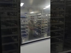 Esencia de aceite de fragancia de Selena floral y ligeramente almizclada