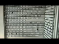 Muestra gratuita de aceite de esencia de fragancia de larga duración sabor Daliy para champú aceites de fragancia