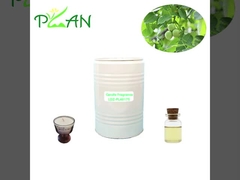 Muestras gratuitas Esencia de madera de nuez pura Aceite aromático de vela líquido amarillo