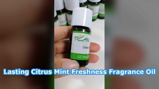 Aceite de perfume de menta cítrica Frescura duradera
