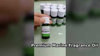 Aceite Aromático Mar Eterna Aroma Marino Premium para Perfumes
