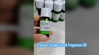 Esencia de fragancia de vela de flor de jengibre
