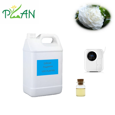 Aceites esenciales de té blanco puro 100% Aceites esenciales florales perfumados