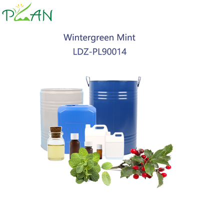 Perfume de menta verde invernal para pasta de dientes 2.5L / botella