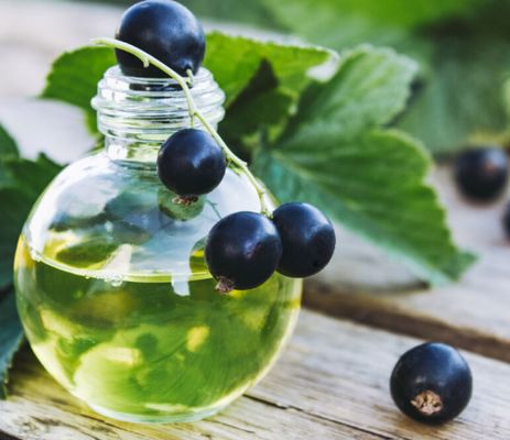 ISO Grade Fig-Blackcurrant Candle Fragrance Oil with Up to 60 Hours Burn Time and 24 Months Shelf Life