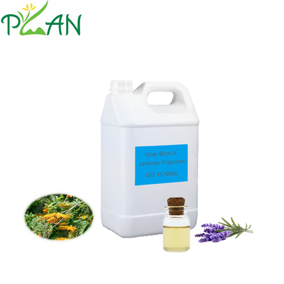 Muestra gratuita del difusor doméstico de fragancias de abedul de plata y aceite de fragancia de lavanda para bastón de caña y vela perfumada fría